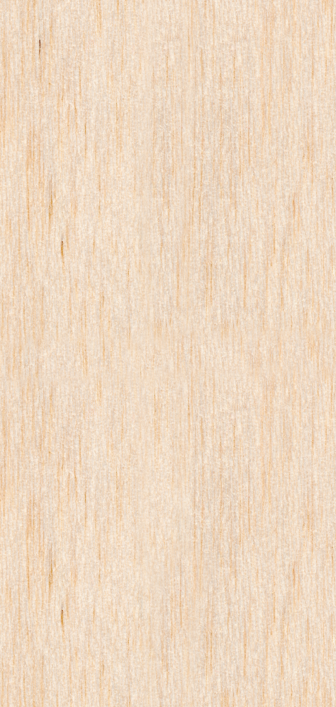 Blanco-hout-langwerpig-staand