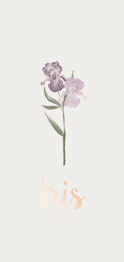 Geboortebloem geboortekaartje februari - Iris