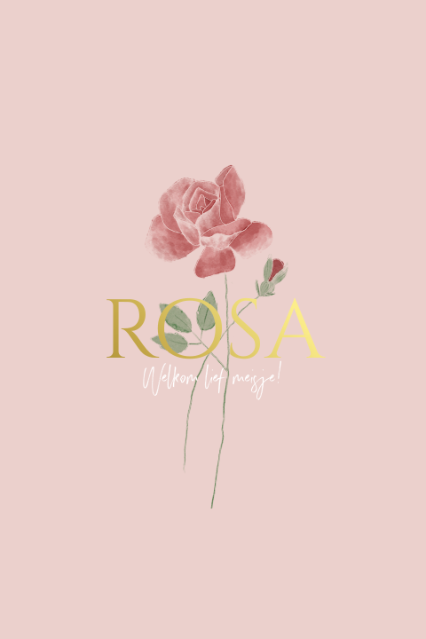 Poster met geboortebloem van juni - roos